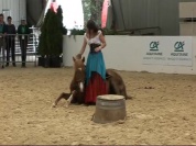 Poney show au Salon.wmv