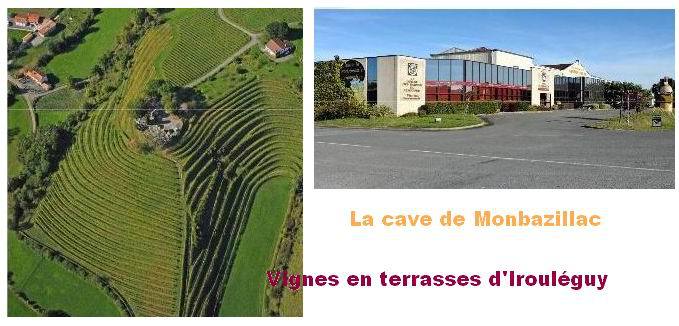 Les caves coopératives d'Irouléguy et de Monbazillac primées pour leurs projets "jeunes"