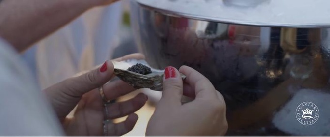 Capture video asso. Caviar d'Aquitaine