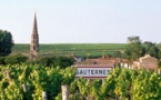 Portes ouvertes dans le Sauternes et le Barsac