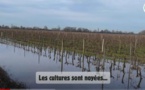 Quand la FNSEA Gironde  colmate les digues