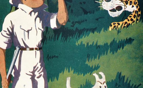 Enchères Tajan:Tintin au plus haut